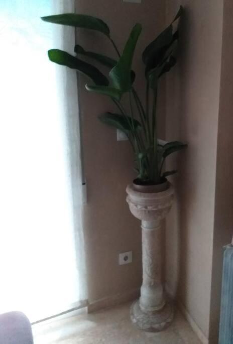 Cosy At Center Appartement *